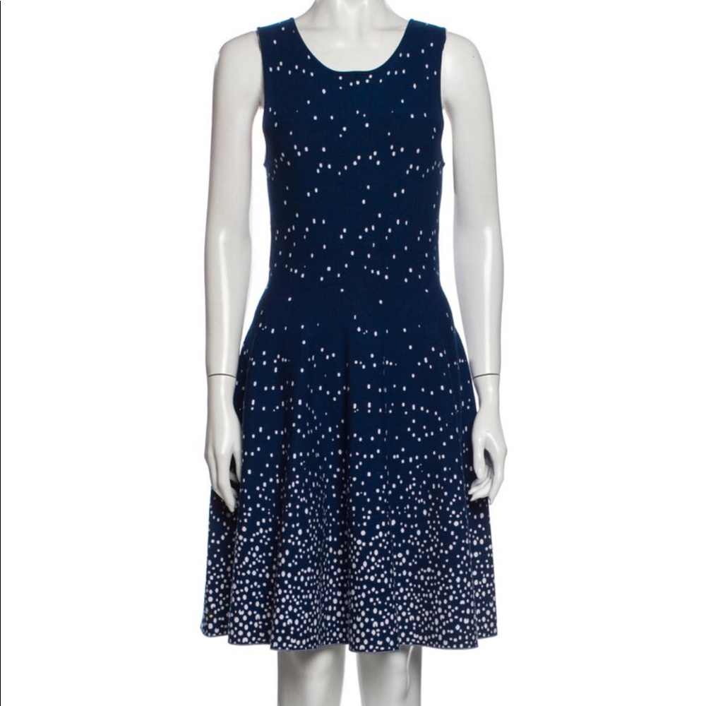Issa London dress